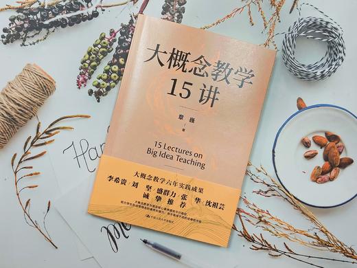 【源创图书】大概念教学15讲  章巍 著 商品图2