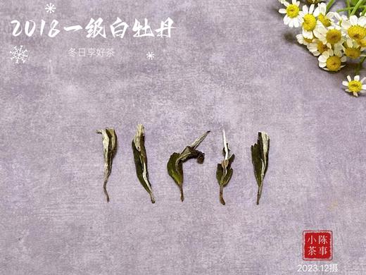 【村姑陈推荐】阔别5年，那款香似雪海的一级白牡丹，《鹊桥仙》的前身，时而清郁，时而雅致，时而浓艳 商品图2