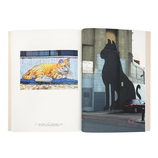 《画中有猫》猫咪在千年艺术史上留下的身影，读库出品 商品图4