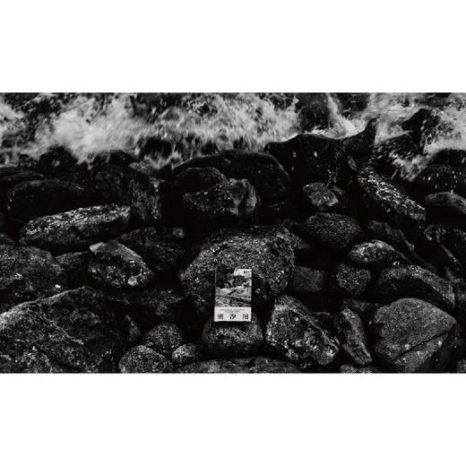 潮汐图 林棹 著 商品图3