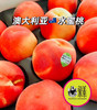 澳洲公主水蜜桃🍑（香软多汁）（快递12枚起） 商品缩略图0