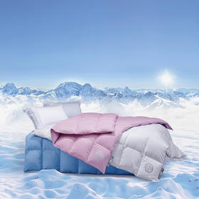 梦洁   被芯95%东方雪鹅鹅绒四季被：登封1956