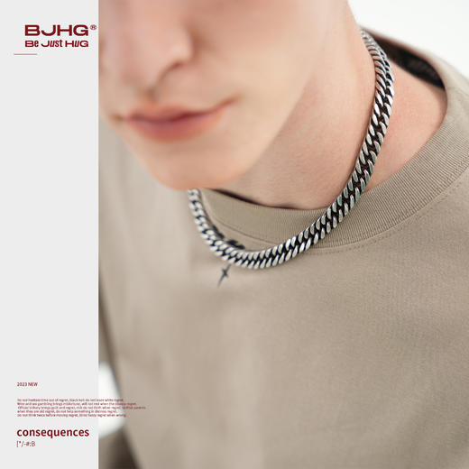 BJHG不计后果轻奢高级感钛钢项链男简约基础款嘻哈情侣配饰锁骨链 商品图1