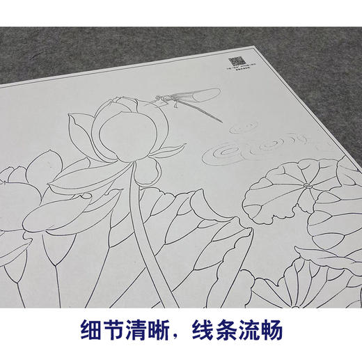 【大彩图】郑玲玲工笔画白描底稿《蜻莲生趣》荷花蜻蜓临摹勾线花鸟线稿ZLA4 商品图4