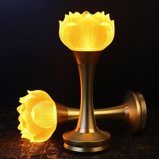 佛堂照明灯充电款佛灯观音莲花灯荷花灯长明灯供佛一对led佛灯 商品图5