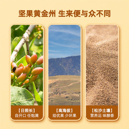 洽洽 盐焗味 开心果 500g 坚果 炒货 孕妇 健康 零食 大包装 无漂 白恰恰 坚果 商品图1