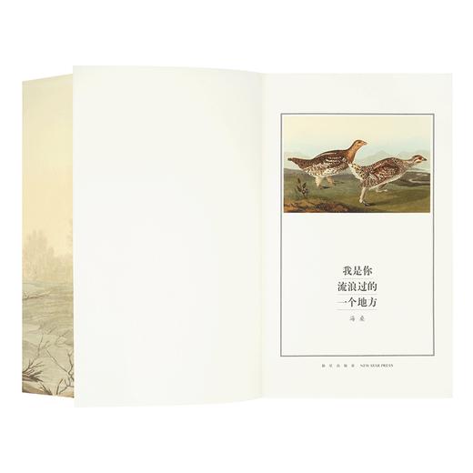 海桑诗集《我是你流浪过的一个地方》读库出品 商品图2