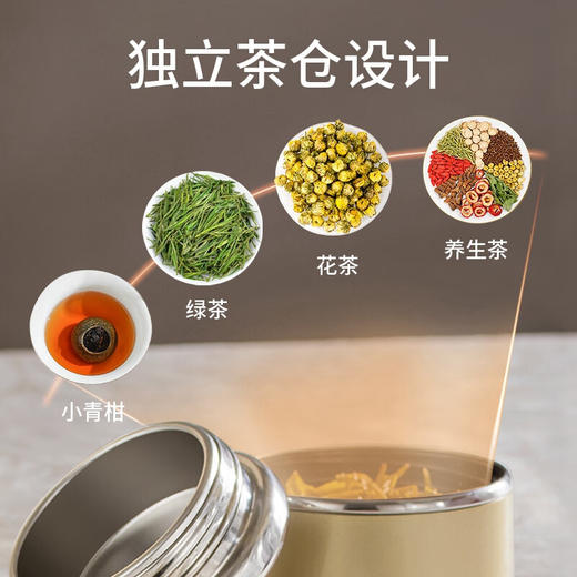 宝威玛（BVGMAV）玻璃杯英国 水杯家用茶水分离双层隔热透明玻璃泡茶杯子 BAL015F 商品图0