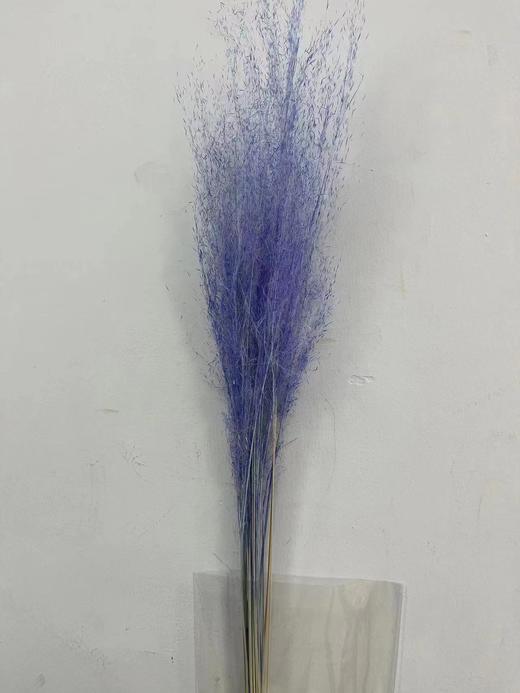 永生花材 | 粉黛乱子草蓝色 商品图0