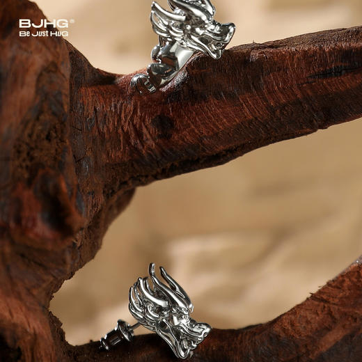 BJHG不计后果新年龙年独特耳钉耳箍套装高级感男女同款潮牌设计感耳夹 商品图1