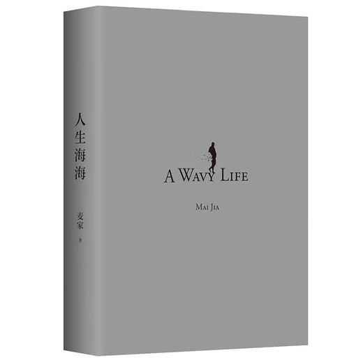 人生海海 麦家 著 商品图2