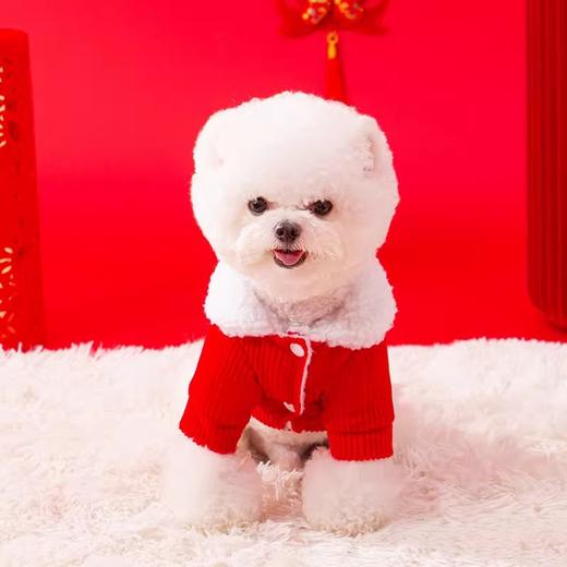 【宠物用品】-新年发财狗狗衣服喜庆过年红色羊羔绒保暖宠物棉衣 商品图3