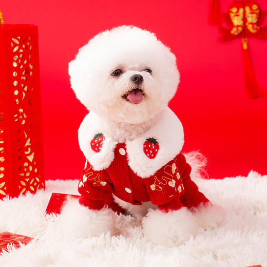【宠物用品】-草莓娃娃领刺绣新年四脚唐装猫咪保暖加厚棉衣 商品图2