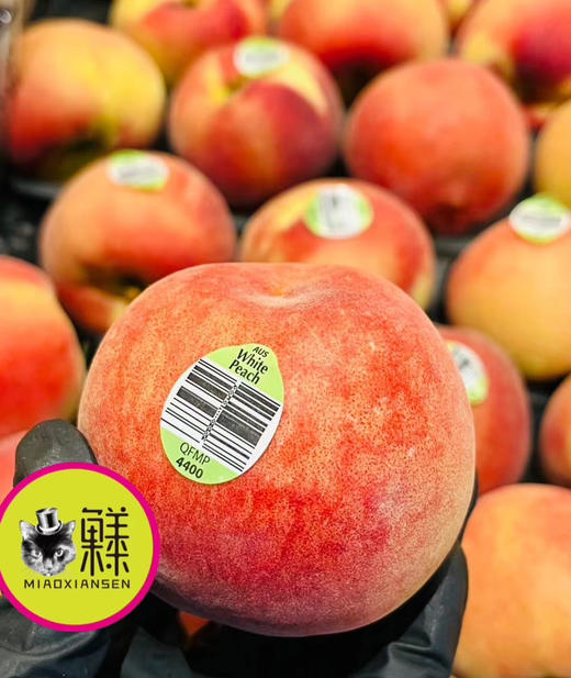 澳洲公主水蜜桃🍑（香软多汁）（快递12枚起） 商品图5