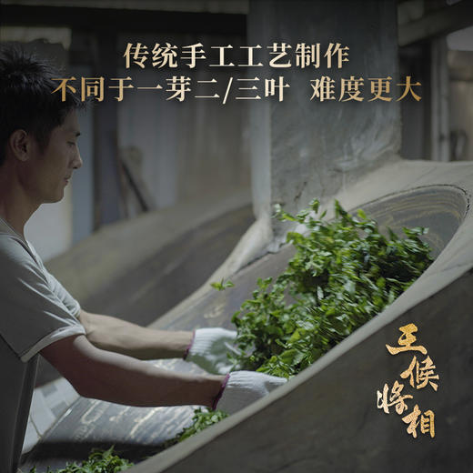 活动即将结束！【积分兑换】王侯将相【曹丞相：曹操】2023年头春一芽一叶古树茶易武拼配普洱茶生茶357克*5饼 商品图8