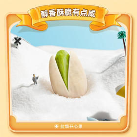 洽洽 盐焗味 开心果 500g 坚果 炒货 孕妇 健康 零食 大包装 无漂 白恰恰 坚果