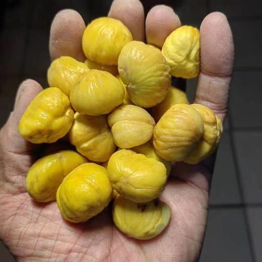 生态迁西板栗 老树板栗 商品图3