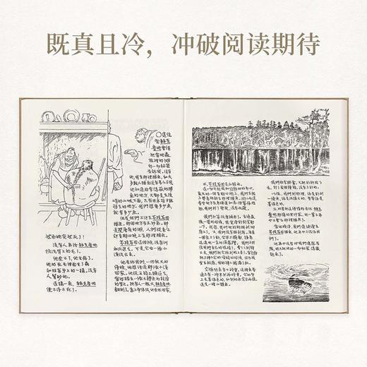 【特价】《童年与故乡》 凛冽北风吹过挪威山林 古尔布兰生 丰子恺 文学 绘画 故乡四部曲 商品图1