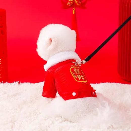 【宠物用品】-新年发财狗狗衣服喜庆过年红色羊羔绒保暖宠物棉衣 商品图2