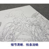 【大彩图】郑玲玲工笔画白描底稿小品《风吹香蕊蝶飞来》蝴蝶兰花临摹勾线花鸟线稿ZLA1 商品缩略图4