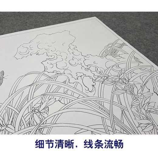 【大彩图】郑玲玲工笔画白描底稿小品《风吹香蕊蝶飞来》蝴蝶兰花临摹勾线花鸟线稿ZLA1 商品图4