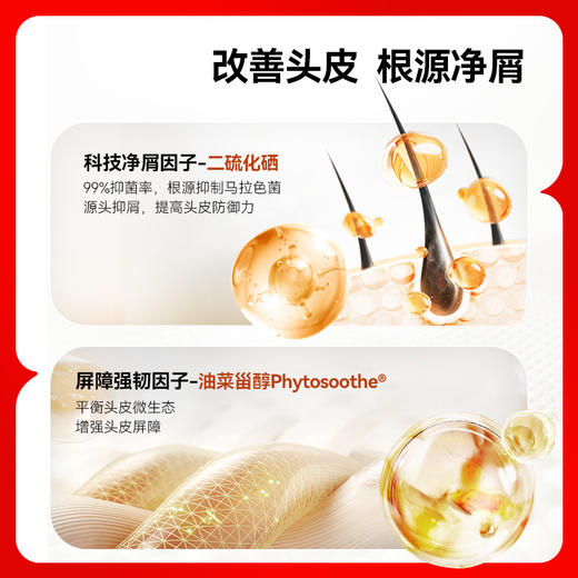 【双旦礼遇】新品红之去屑净澈洗发水300ml 商品图3