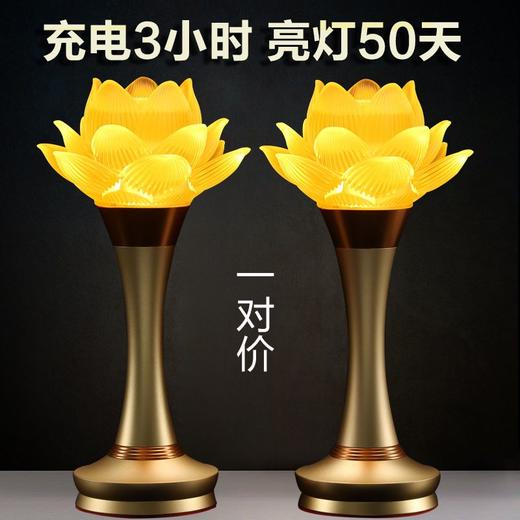 佛堂照明灯充电款佛灯观音莲花灯荷花灯长明灯供佛一对led佛灯 商品图2