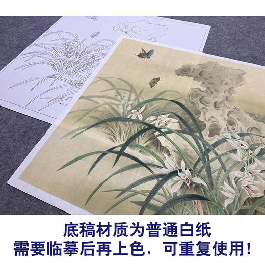 【大彩图】郑玲玲工笔画白描底稿小品《风吹香蕊蝶飞来》蝴蝶兰花临摹勾线花鸟线稿ZLA1 商品图3