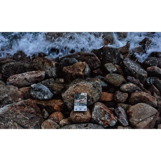 潮汐图 林棹 著 商品图8