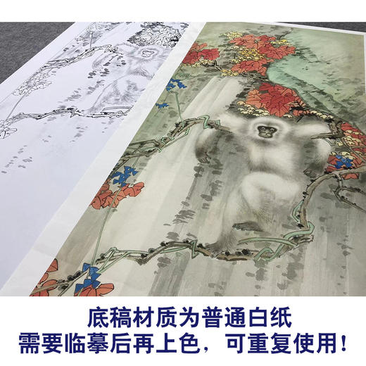 【大彩图】田世光工笔画白描底稿《小猴》临摹勾线高清打印稿SG58 商品图3