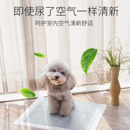 【宠物用品】-碳分子狗狗尿垫宠物猫咪尿片加厚除臭尿不湿 商品图3