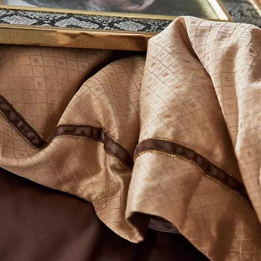 【春上新】10楼 富安娜 维莎高端长绒棉四件套--方索230*229cm 吊牌价8980元 活动价4399元 商品图2