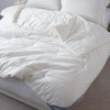 梦洁 被芯  德国芯进口抗菌四季被：金海 商品缩略图1