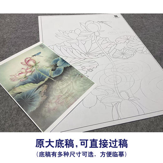 【大彩图】郑玲玲工笔画白描底稿《蜻莲生趣》荷花蜻蜓临摹勾线花鸟线稿ZLA4 商品图1