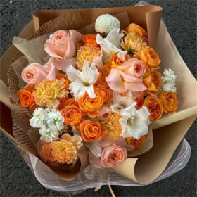 元气橙--高级定制