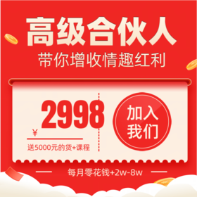 高级合伙人（送5000元的货+送课程）