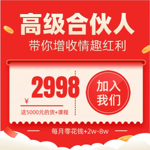 高级合伙人（送5000元的货+送课程） 商品图0