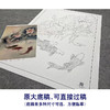 【大彩图】郑玲玲工笔画白描底稿《荷塘鱼乐图》荷花鲤鱼临摹勾线花鸟线稿ZLA2 商品缩略图1