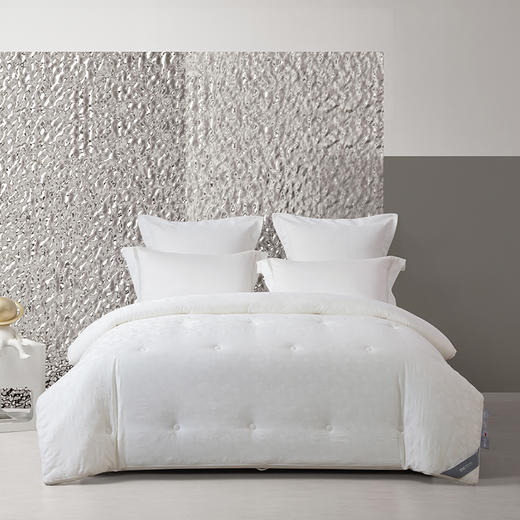 梦洁 被芯  德国芯进口抗菌四季被：金海 商品图0