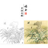 【大彩图】郑玲玲工笔画白描底稿小品《风吹香蕊蝶飞来》蝴蝶兰花临摹勾线花鸟线稿ZLA1 商品缩略图0