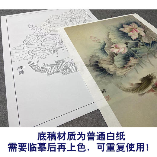 【大彩图】郑玲玲工笔画白描底稿《荷塘鱼乐图》荷花鲤鱼临摹勾线花鸟线稿ZLA2 商品图3