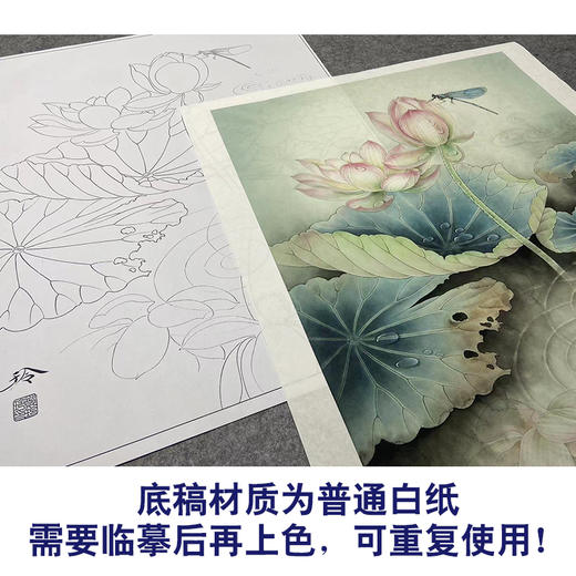 【大彩图】郑玲玲工笔画白描底稿《蜻莲生趣》荷花蜻蜓临摹勾线花鸟线稿ZLA4 商品图3