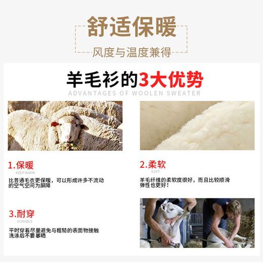 【100羊毛 多色可选】罗蒙秋冬男装羊毛衫细腻保暖半高领毛衣男秋冬男士针织羊毛衫男 商品图9