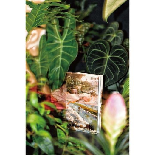 潮汐图 林棹 著 商品图2