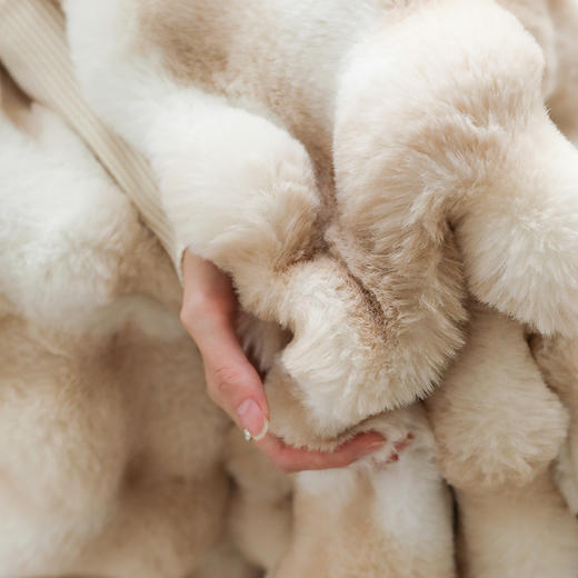 自然醒托斯卡纳法式轻奢保暖仿皮草扎染色毛毯沙发盖毯午睡盖被冬季加厚毯子MT 商品图7