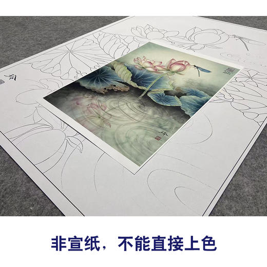 【大彩图】郑玲玲工笔画白描底稿《蜻莲生趣》荷花蜻蜓临摹勾线花鸟线稿ZLA4 商品图2