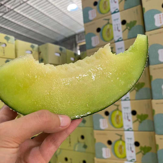 海南•牛3蜜瓜顺丰快递包邮下单从三亚发货 商品图7