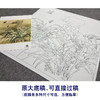 【大彩图】郑玲玲工笔画白描底稿小品《风吹香蕊蝶飞来》蝴蝶兰花临摹勾线花鸟线稿ZLA1 商品缩略图1