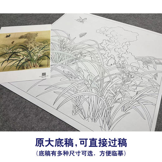 【大彩图】郑玲玲工笔画白描底稿小品《风吹香蕊蝶飞来》蝴蝶兰花临摹勾线花鸟线稿ZLA1 商品图1