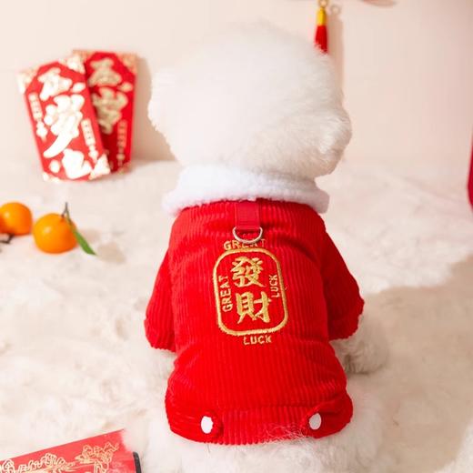 【宠物用品】-新年发财狗狗衣服喜庆过年红色羊羔绒保暖宠物棉衣 商品图1
